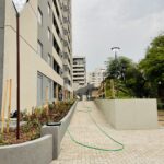 20241031_132833533_iOS